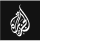 Home 101 Aljazeera Logo