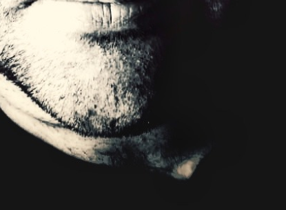8 2