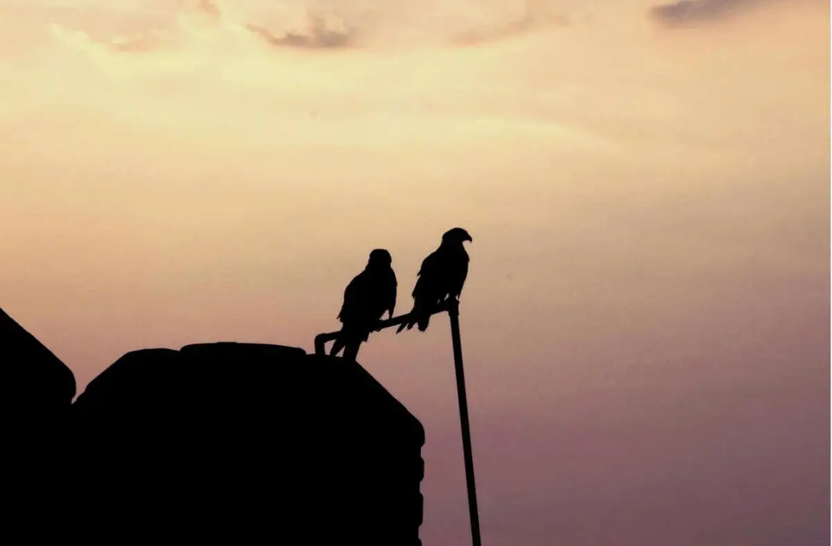 Stellar-Advice-for-those-Beginning-their-First-Leadership-Awakened-Leadership